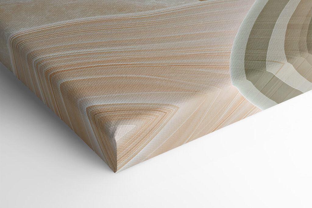 - Soft curves and flowing lines unite