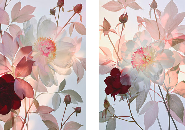 Soft blooms in delicate hues