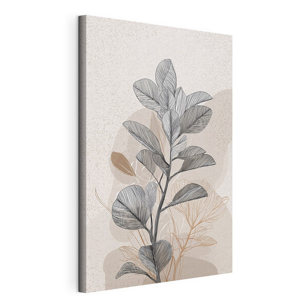 Plant with black and white leaves