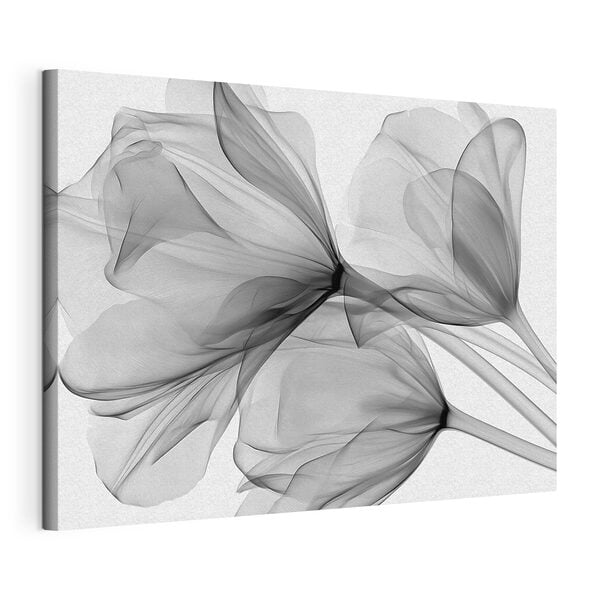 Quadri Quadri Composizione floreale con tulle (COD: s49892)